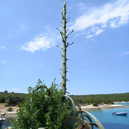 Sustainable Sun Powered Liski 3 Casa vacanze Čunski