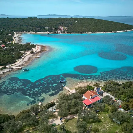 Sustainable Sun Powered Liski 3
